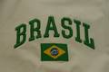 carnet de Voyage Brésil Brazil Brasil