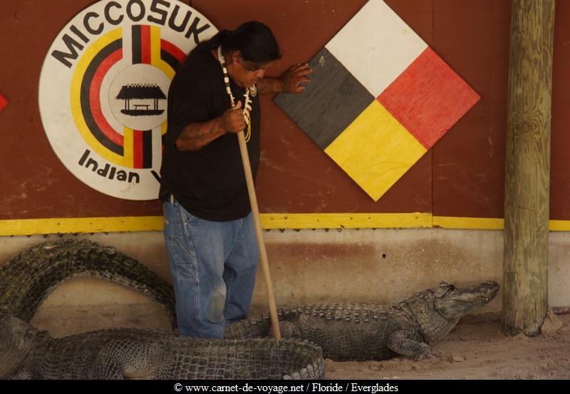 carnetdevoyage_floride_florida_everglades_miccosukee_nativeamerican_indien_alligator