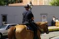 california_oldsacramento policier à cheval