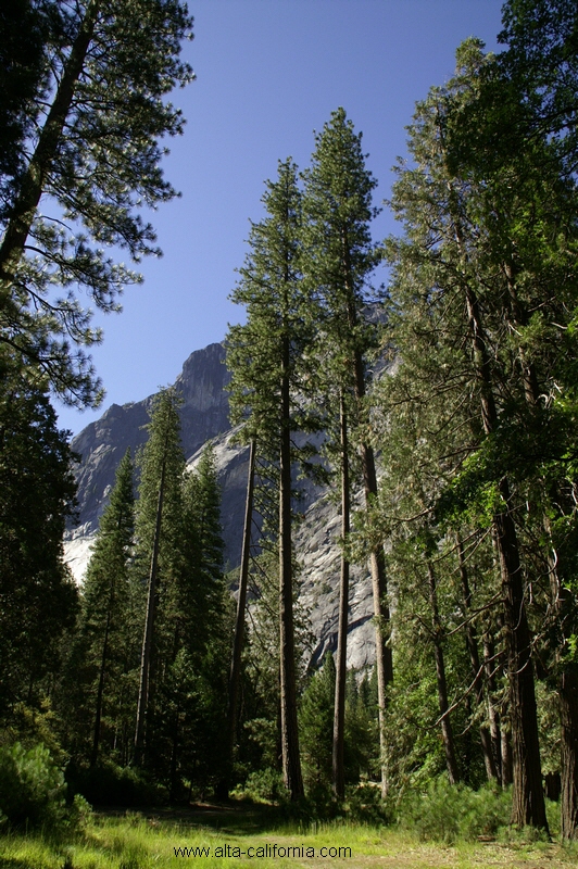 californie_californie_yosemitenationalpark_yosemitevalley california sierra nevada yosemite national park yosemite valley